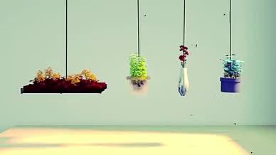 原创花盆挂饰动态背景视频的预览图
